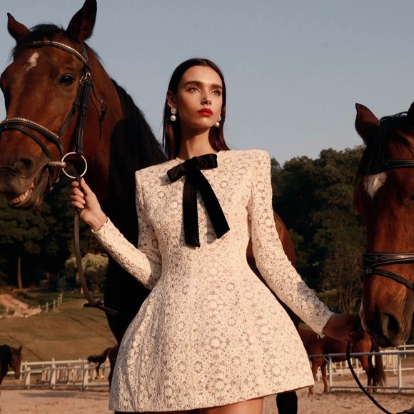 Bronx and Banco Dresses & Skirts - NWOT $750 Bronx and Banco Courtney Mini Dress